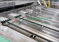 Pulp Gevormd 600m2-Papierei Tray Manufacturing Machine