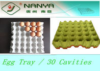 Het biologisch afbreekbare Pulp Gevormde Dienblad van het Producten Beschikbare Ei met 30 Holten