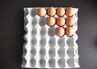 Het biologisch afbreekbare Pulp Gevormde Dienblad van het Producten Beschikbare Ei met 30 Holten