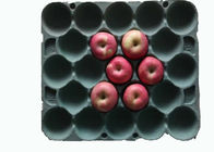 Het chemisch afbreekbare Rechthoekige Dienblad van het de Productenfruit van de Papierpulp Gevormde met 20 Holten