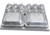 12 houdt Eidoos/Karton de Vormende Matrijzen van de Vormenpulp van Aluminium