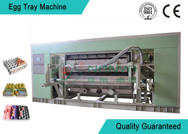 Volledig Auto Gevormde Tray Making Machine For Egg-Dienblad/Eikarton/het Zaaien Kopproductielijn