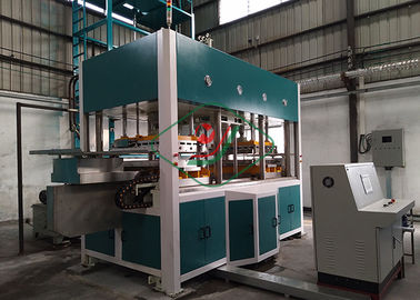 Machine van de Eco de Vriendschappelijke Gevormde Pulp/volledig Automatische Industriële Verpakkingslijn