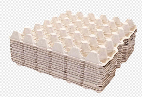 Volautomatische roterende bekerhouder / eierdozen vormmachine