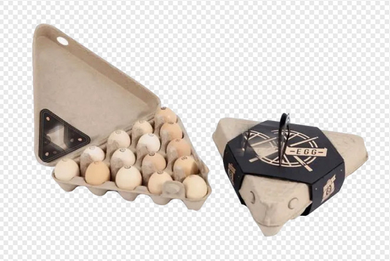 Semi Automatische Hete de Pulp Vormende Machine van het Perspapier voor de Doos van het Papierei/Eidienblad
