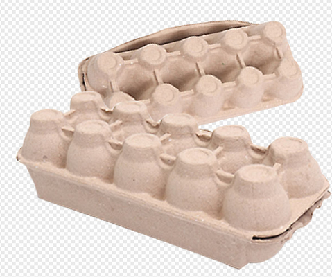 Vormende het Eidienblad/Karton/Doos die van de Papierafvalpulp Machine met een Drogende Zaal maken