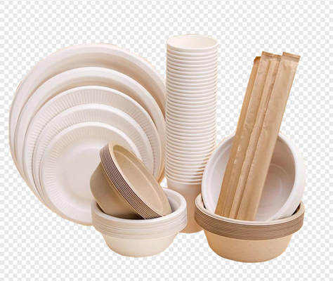 Maagdelijke Papierpulp die Euipment-Voedselplaat/de Machine van de Lunchdoos vormen