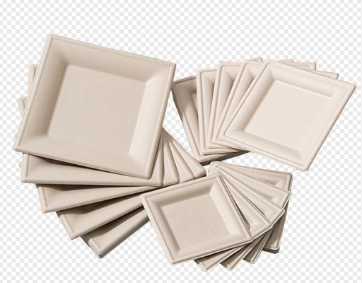 Maagdelijke Papierpulp die Euipment-Voedselplaat/de Machine van de Lunchdoos vormen