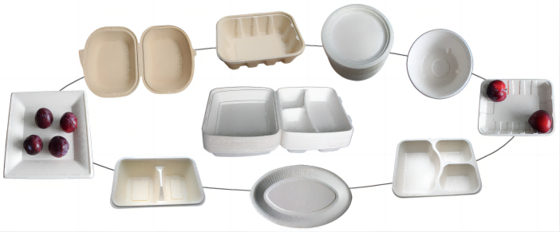 Thermoform haalt de Plaat van de Voedseldoos Makend weg Machine 7000Pcs/H