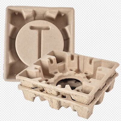 Volautomatische pulpvormmachine voor interne industriële elektronicaverpakkingen/ Pulp industriële verpakkingsmachine