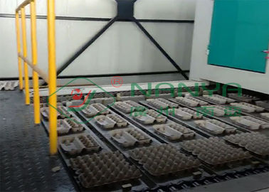 Volledig Auto Gevormde Tray Making Machine For Egg-Dienblad/Eikarton/het Zaaien Kopproductielijn