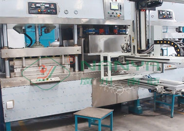 van de de Lunchdoos van de papierpulp Ovale de Kom Vormende Machine met Autorobot