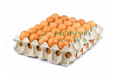 Het Dienblad van het Papierafvalei/Eikarton/de Productielijn 6000Pcs van het Fruitdienblad/Uur