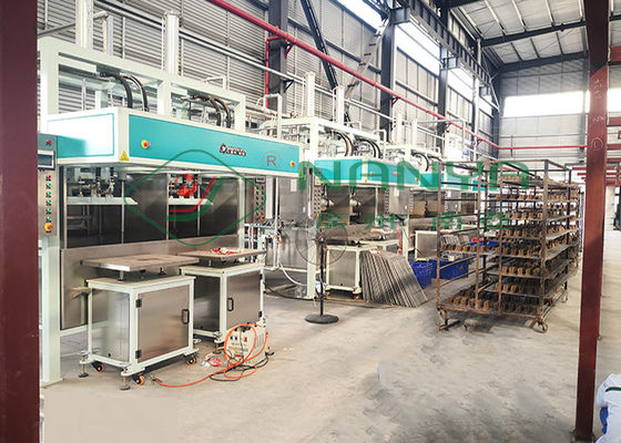 Het Bewijspakket Industrieel Tray Making Machine van de pulp Vormend Schok