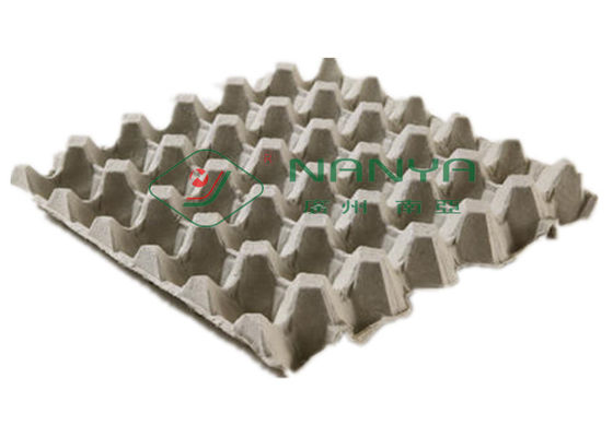 Pulp Gevormd 600m2-Papierei Tray Manufacturing Machine