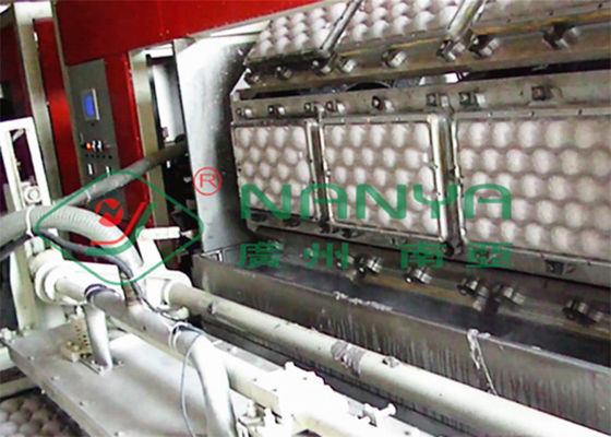 250kw de Eierendienblad die van fruitdienbladen tot Machine maken Vacuümzuiging 600m2