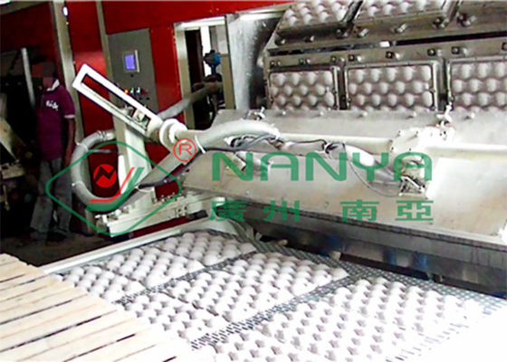 Recycleer Document Fruit Tray Strawberry Tray Egg Tray Makend Machine