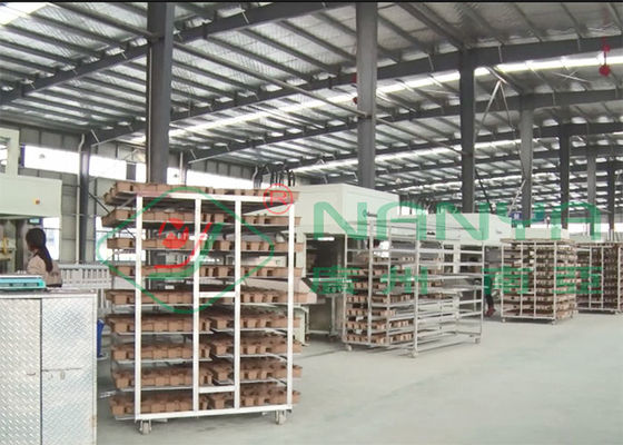 Halfautomatische Gerecycleerde het Dienbladmachine die van de Afvalpulp Fruit/Medisch Dienblad 800Pcs/H maken