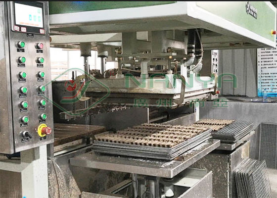 TV die Elektronische 80kg/h-Pulp Tray Machine verpakken