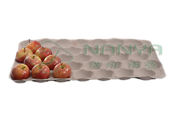 De Machine van het Eitray carton paper reciprocating molding van het kippenlandbouwbedrijf