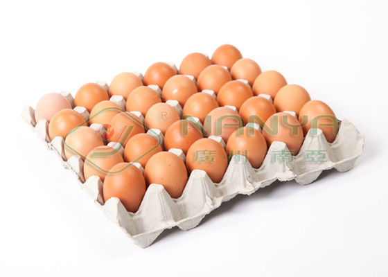 Het Type van aanrakingsscherm Roterende Pulp Vormende Productielijn die Fruitdienblad vormen