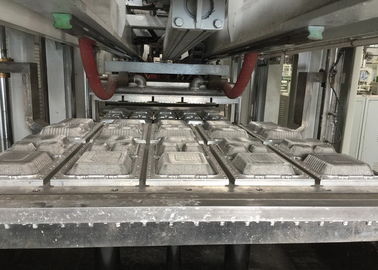 Snel Voedseldoos/Beschikbaar Vaatwerk die Machine het Drogen in Vorm 7000Pcs/H maken