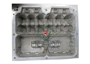 Aluminium 12 de Vorm van de Zetelspulp/de Gevormde Kartons van het Pulpei met CNC Proces