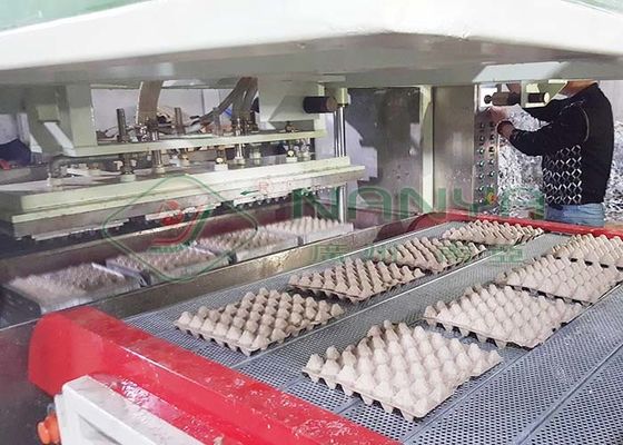 Pulp gietmachine voor wegwerpwit papier gegoten kwartel ei karton / ei tray met 90 holtes
