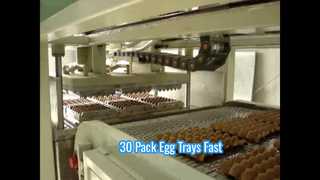 Kleine automatische pulpvormmachine voor eiertray / kleine eiertraymachine / 30 verpakte eiertraymachine