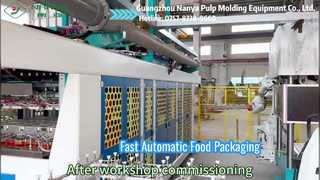 YC042 volautomatische voedselverpakkingsmachine