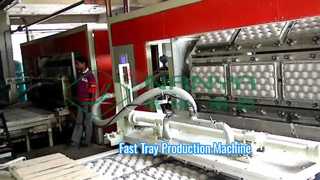 Automatische pulpvormmachine voor fruittray / eiertray / eierdoos