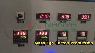 Massaproductie Pulp Eierdoos die machine maakt / Eierdoos die machine maakt