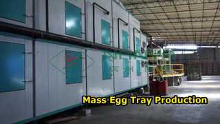 Volautomatische machine voor het maken van eiertrays / Massaproductie Eiertray / Carton Making amchine