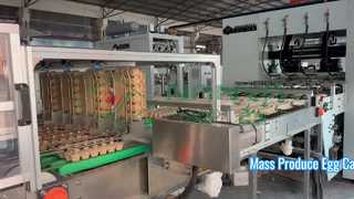 Volautomatische machine voor het maken van eierdozen / massaproductie Eierrekje / doos voor het maken van amchine